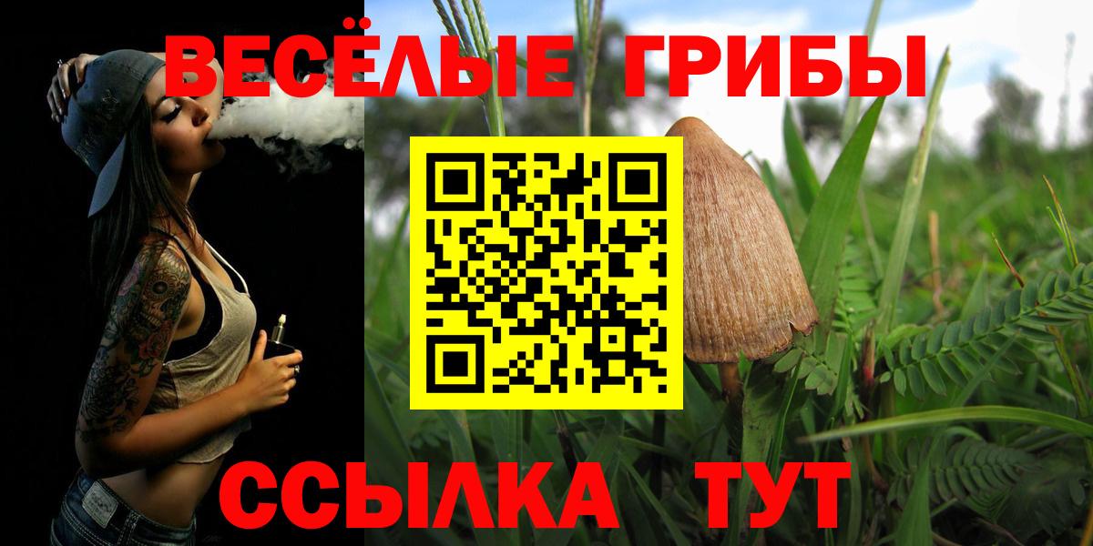 Псилоцибиновые грибы Magic Shrooms  Галлюциногенные грибы GOLDEN TEACHER  Вход с VPN  Кудрово 