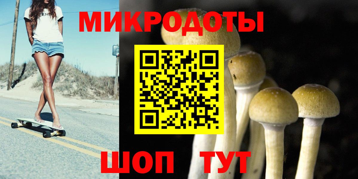 Псилоцибиновые грибы GOLDEN TEACHER Кудрово