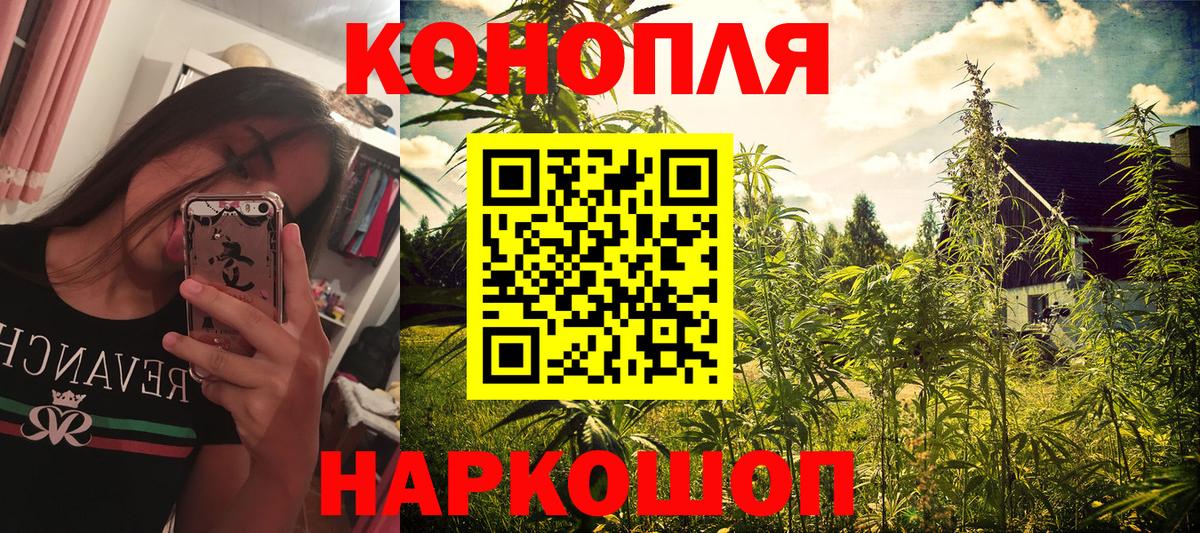 Кудрово  Марихуана конопля  Бошки Шишки Bruce Banner  Вход с VPN  Бошки марихуана MAZAR 
